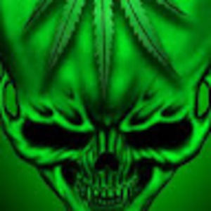 Meet your Posher, Harley